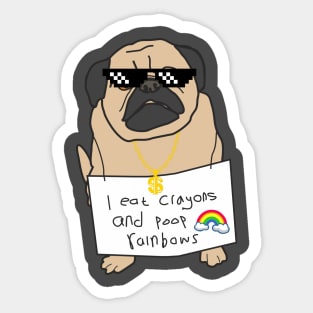 Mr Pug: i eat crayons and poop rainbows Sticker